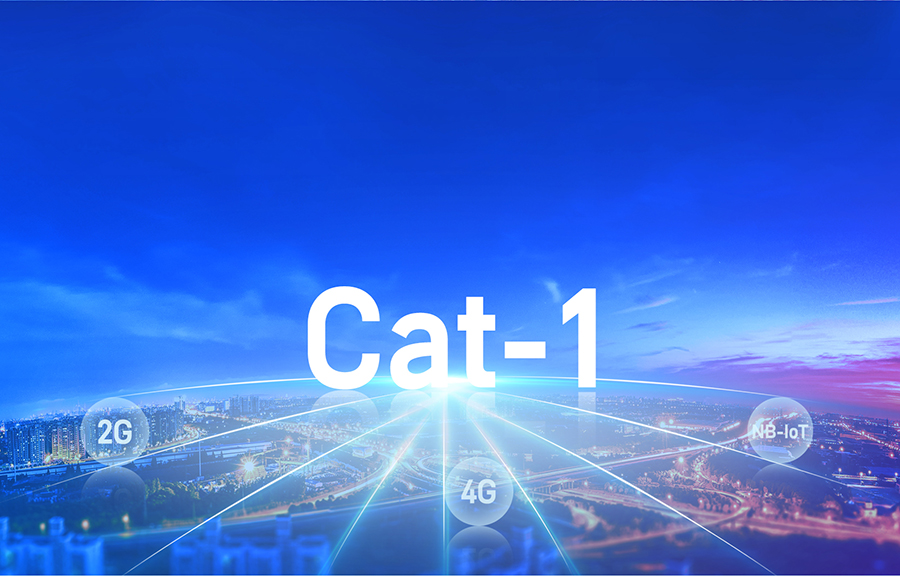 Cat-1？榈奈蠢词谐