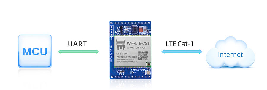 cat1 ？榈幕竟δ