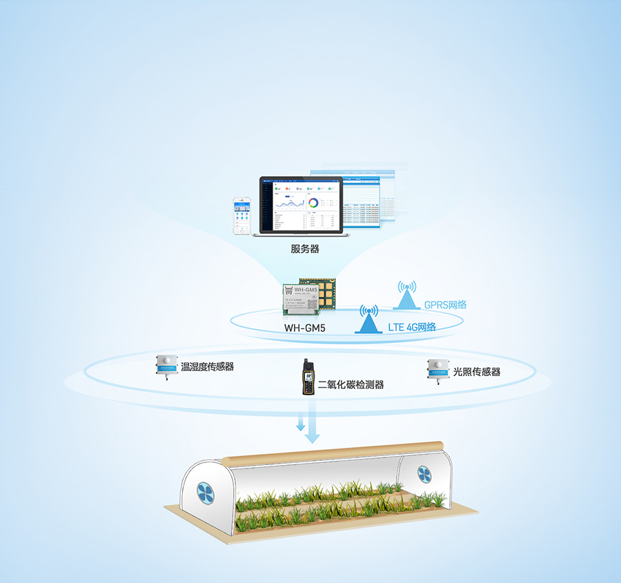 Cat-1？榈呐┮滴锪肪臣嗖獍咐